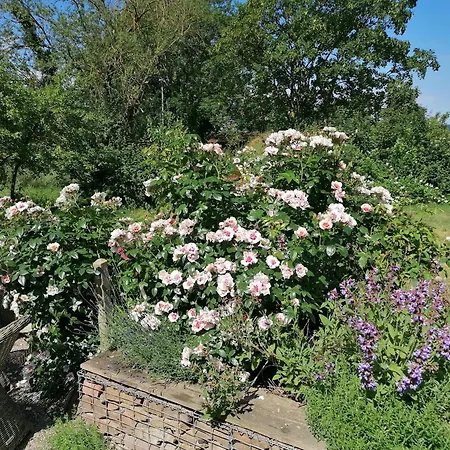 Kutscherstube Gutshof Fuerstenberg Lejlighed Furstenberg (Lower Saxony)