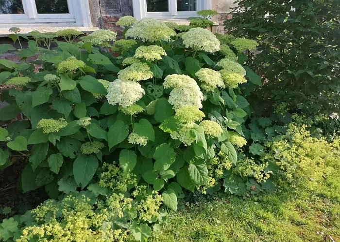 Kutscherstube Gutshof Fürstenberg *